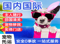 天津滨海机场快递国际宠物托运 【国